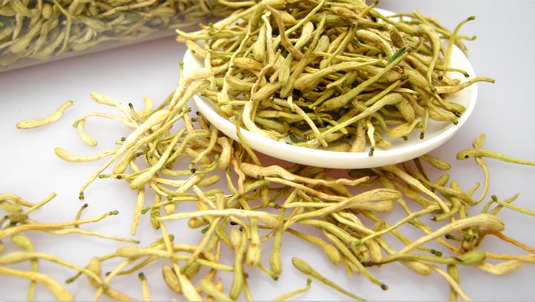 timg (2).jpg timg (2).jpg