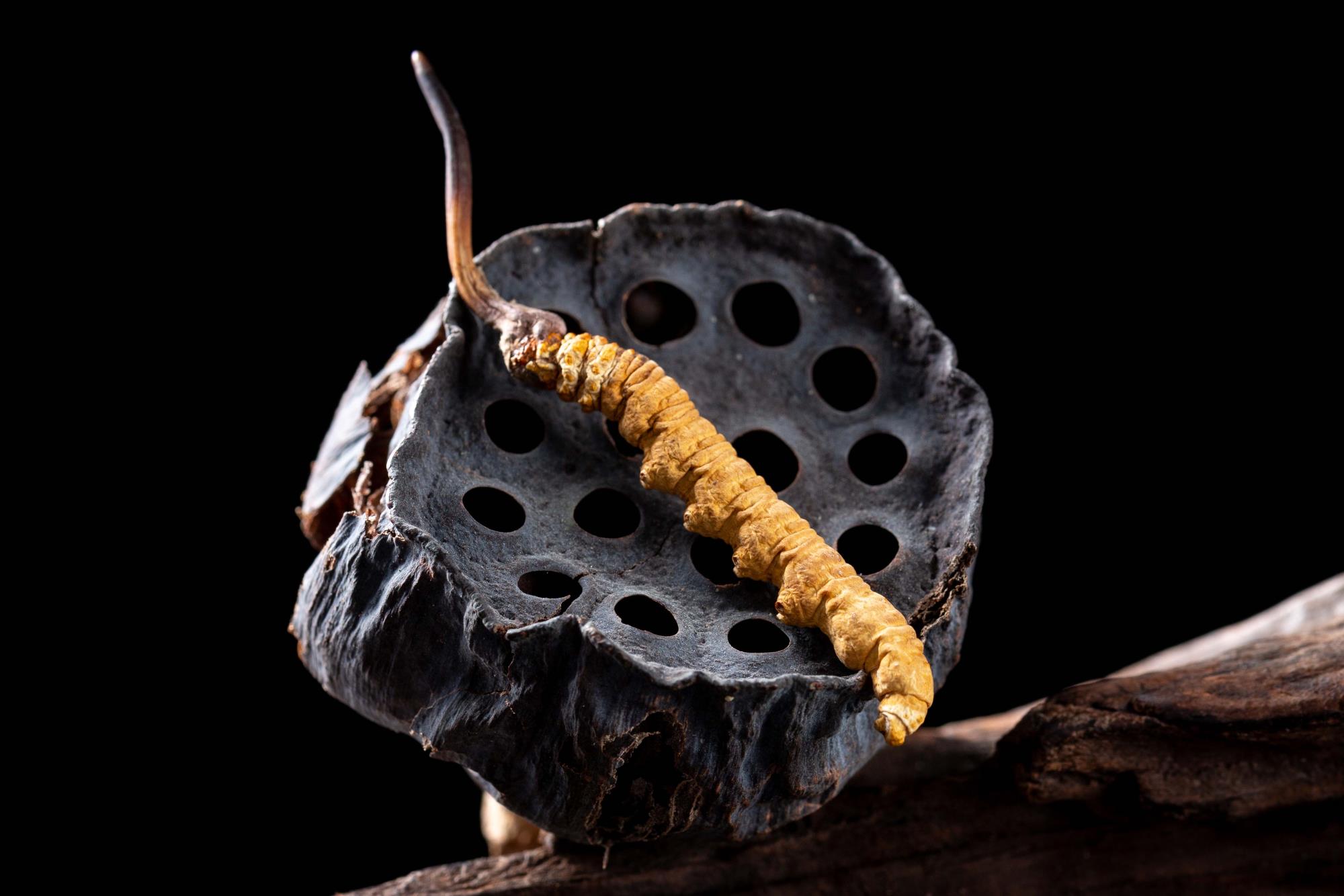 春节宅在家：杜绝这些坏习惯 给身体好好放个假