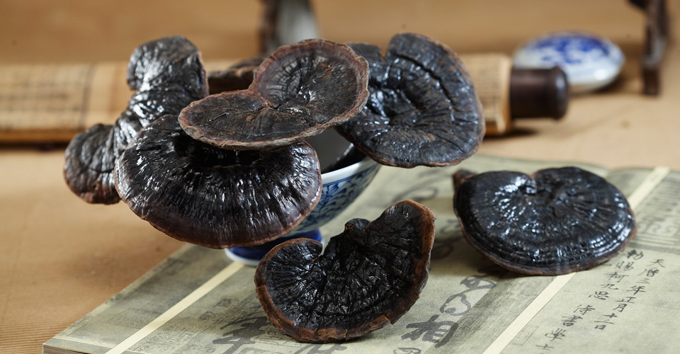 20170704152100421.jpg 20170704152100421.jpg