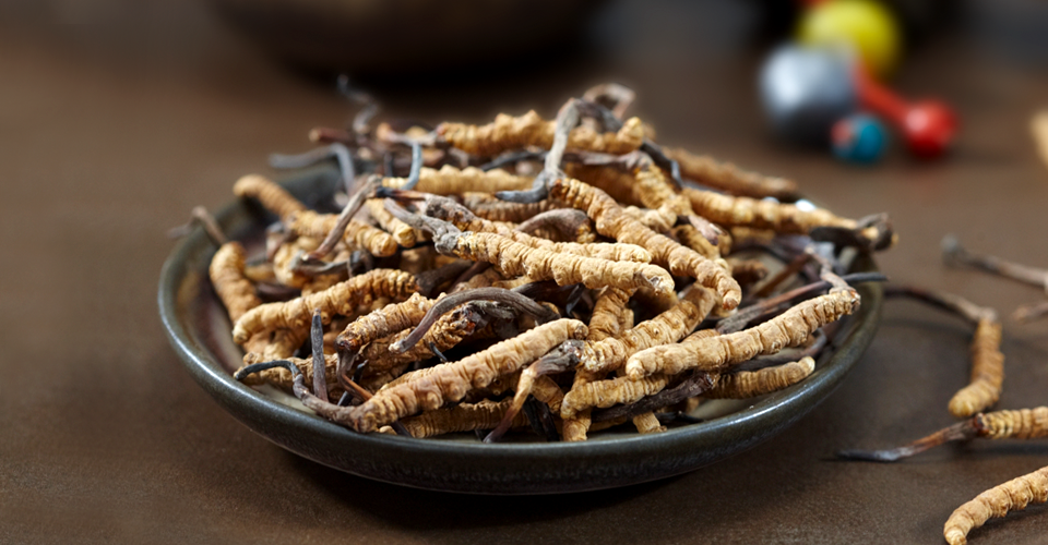 坚持运动是最好的抗衰药