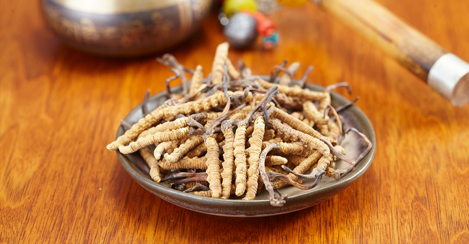 人体八个“养生窝”：适度按摩疏通经络